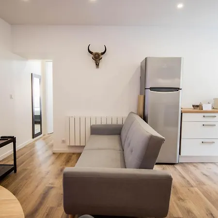 Cosmo Ideal Famille Rue Carnot شقة آنسي